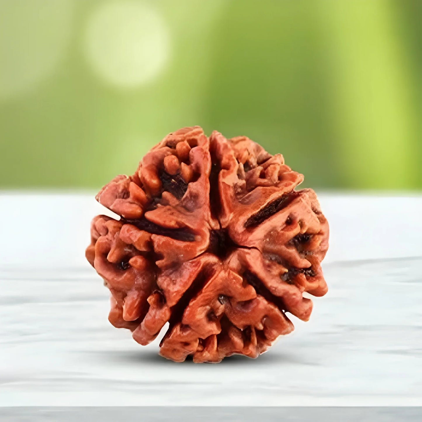 108 Bead Rudraksha Jaap Mala