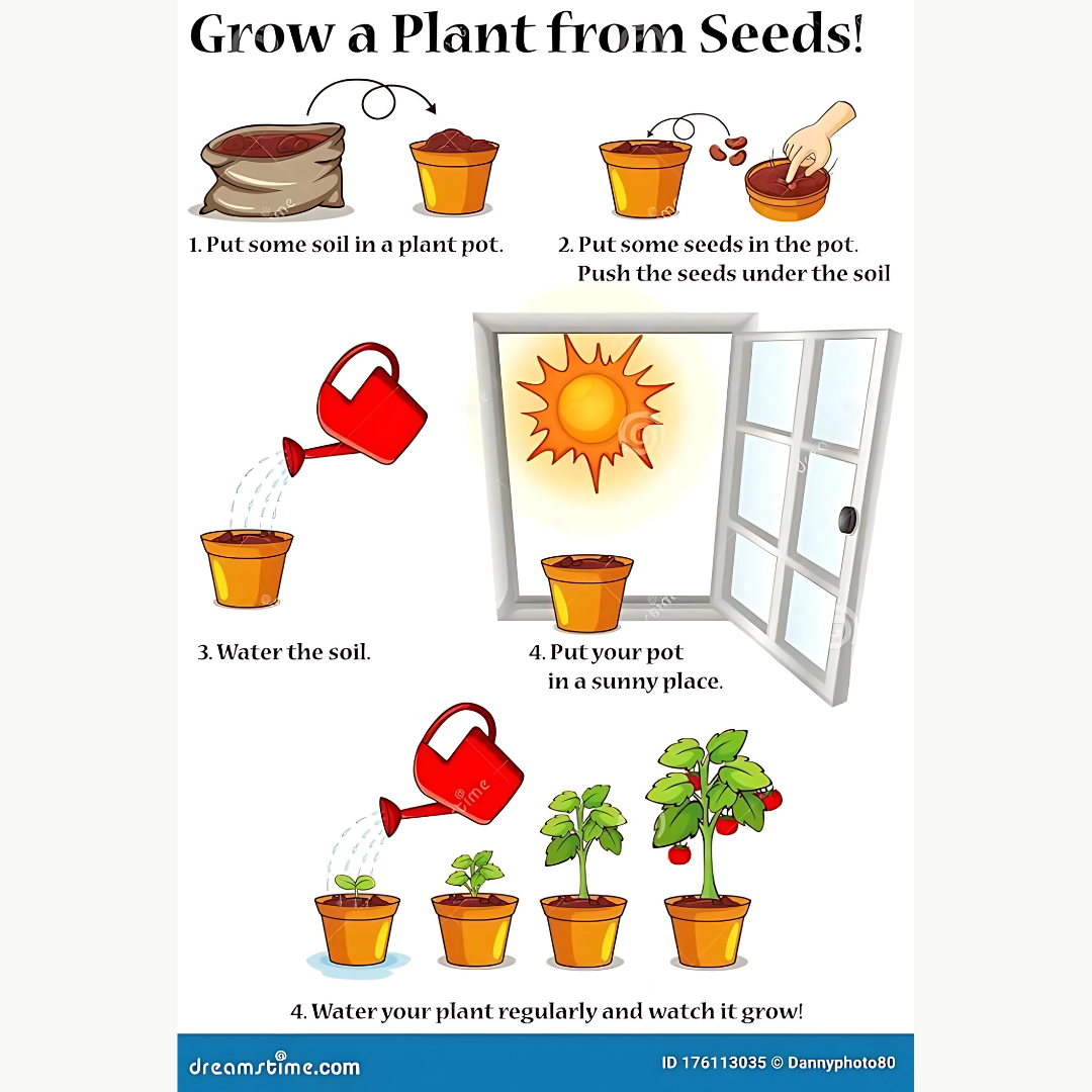 Mini Thumb Size Watermelon Seeds