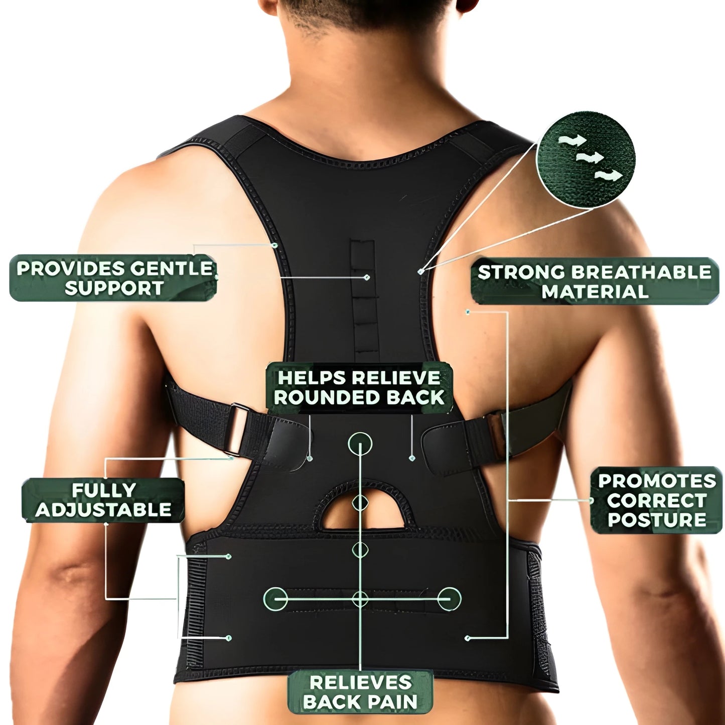Posture Perfect Belt