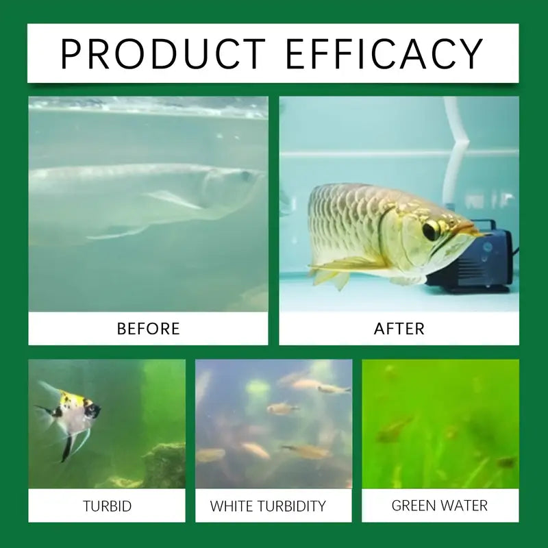 Algae Remover Fish Tank (Pack of 2) Home Improvement