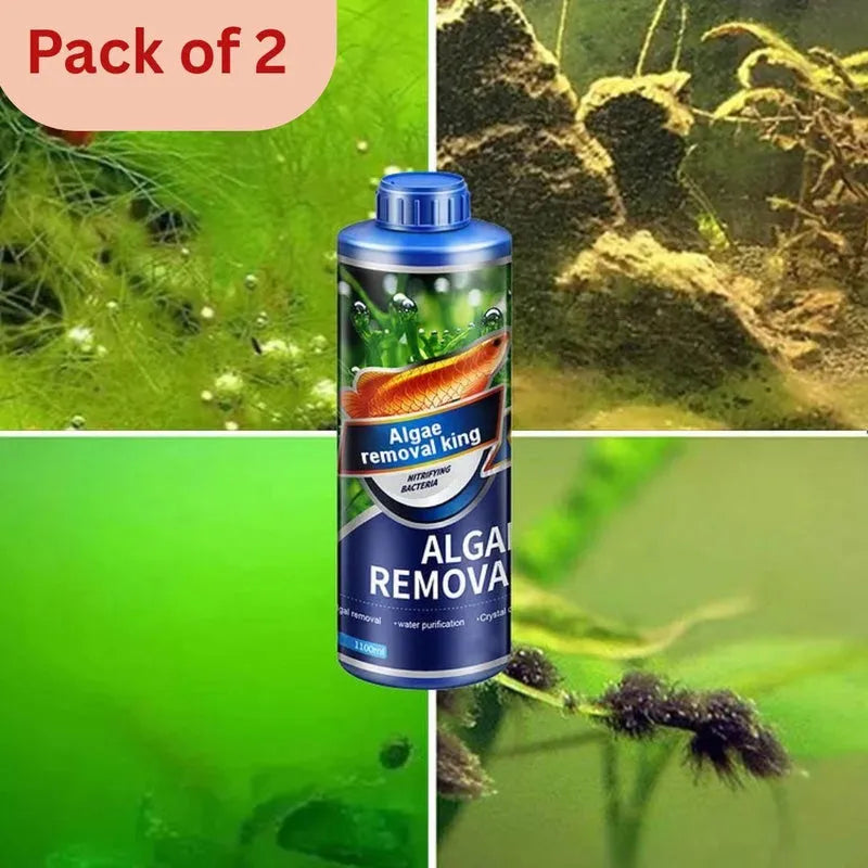 Algae Remover Fish Tank (Pack of 2) Home Improvement