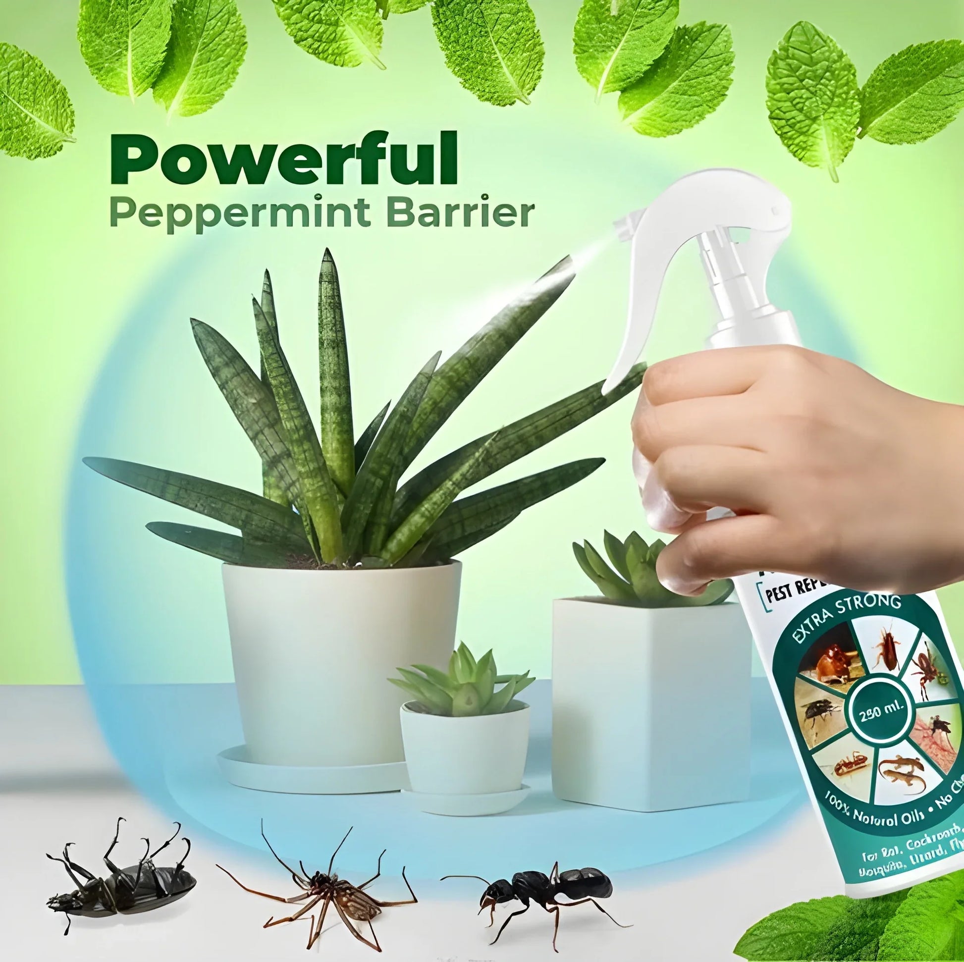 All Natural Pest Repellent Spray