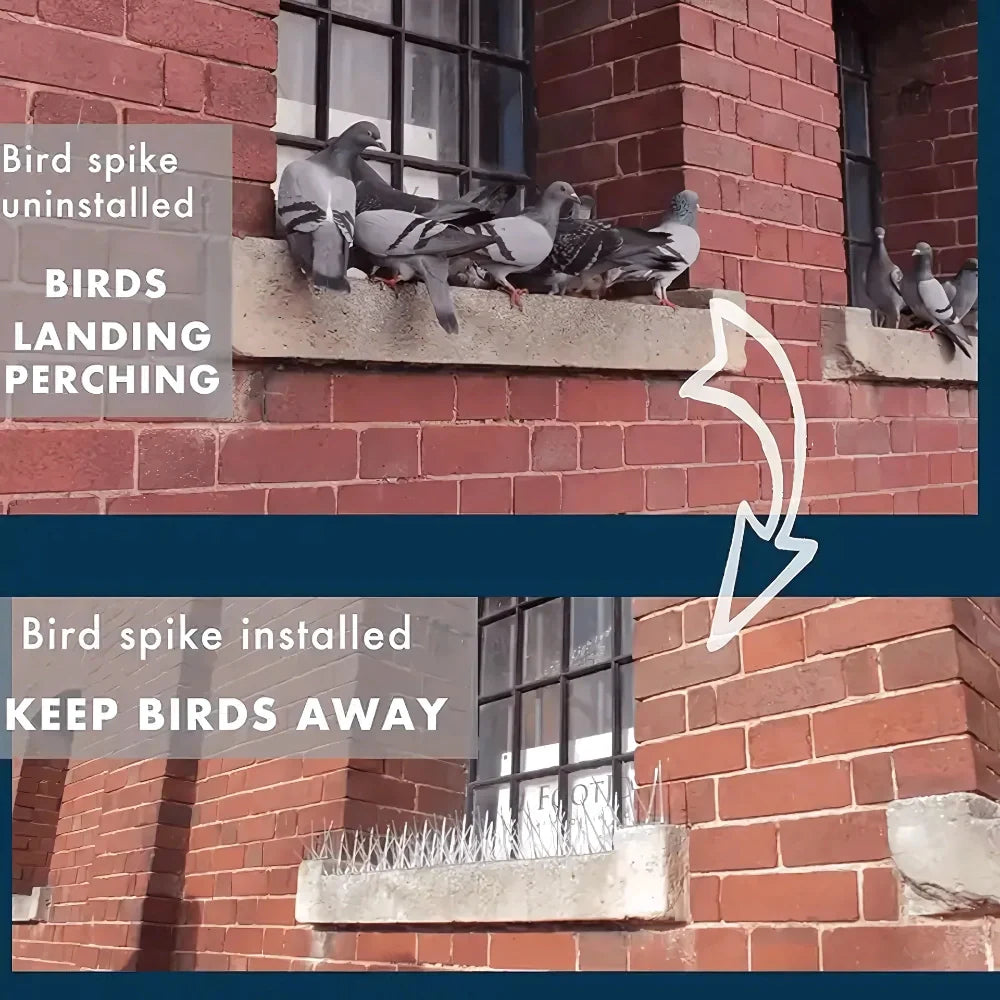 Anti Bird Spike Strips