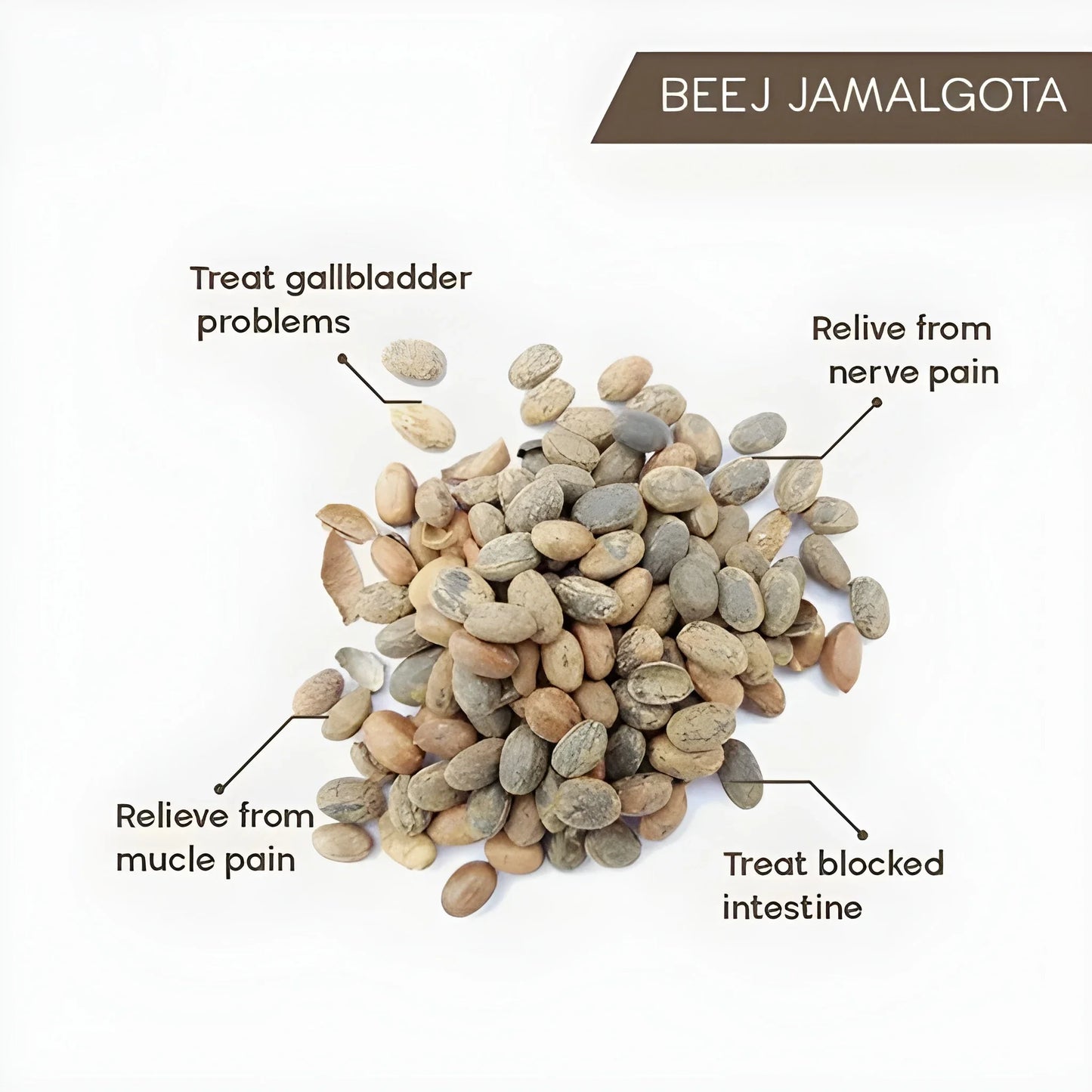 Ayurvedic Hair Growth Powder