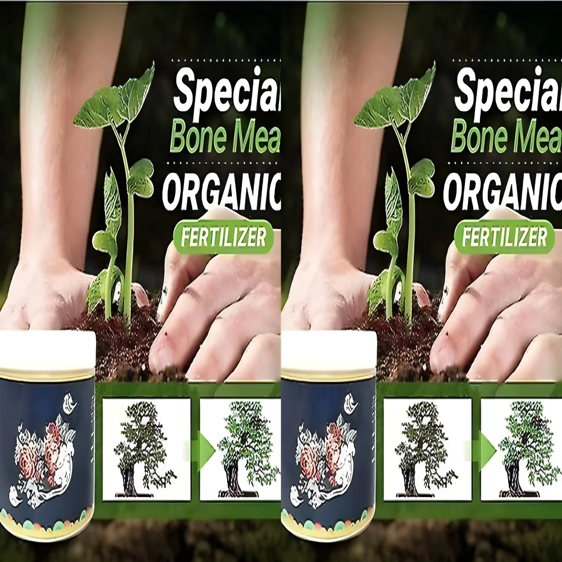 Bloom & Fruit Booster