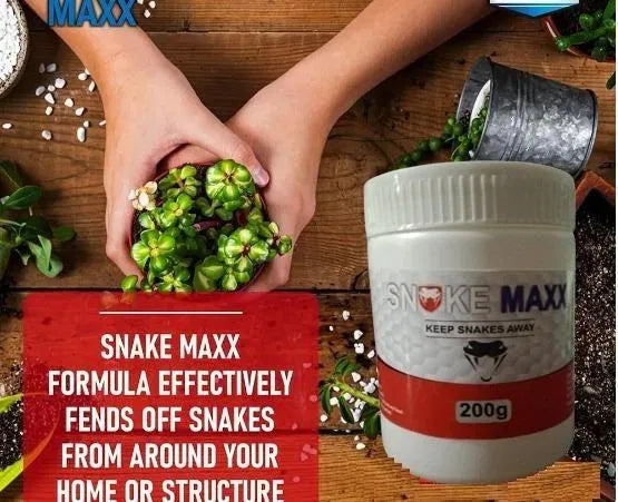 Snake Repellent Powder 200g Container pack of 2