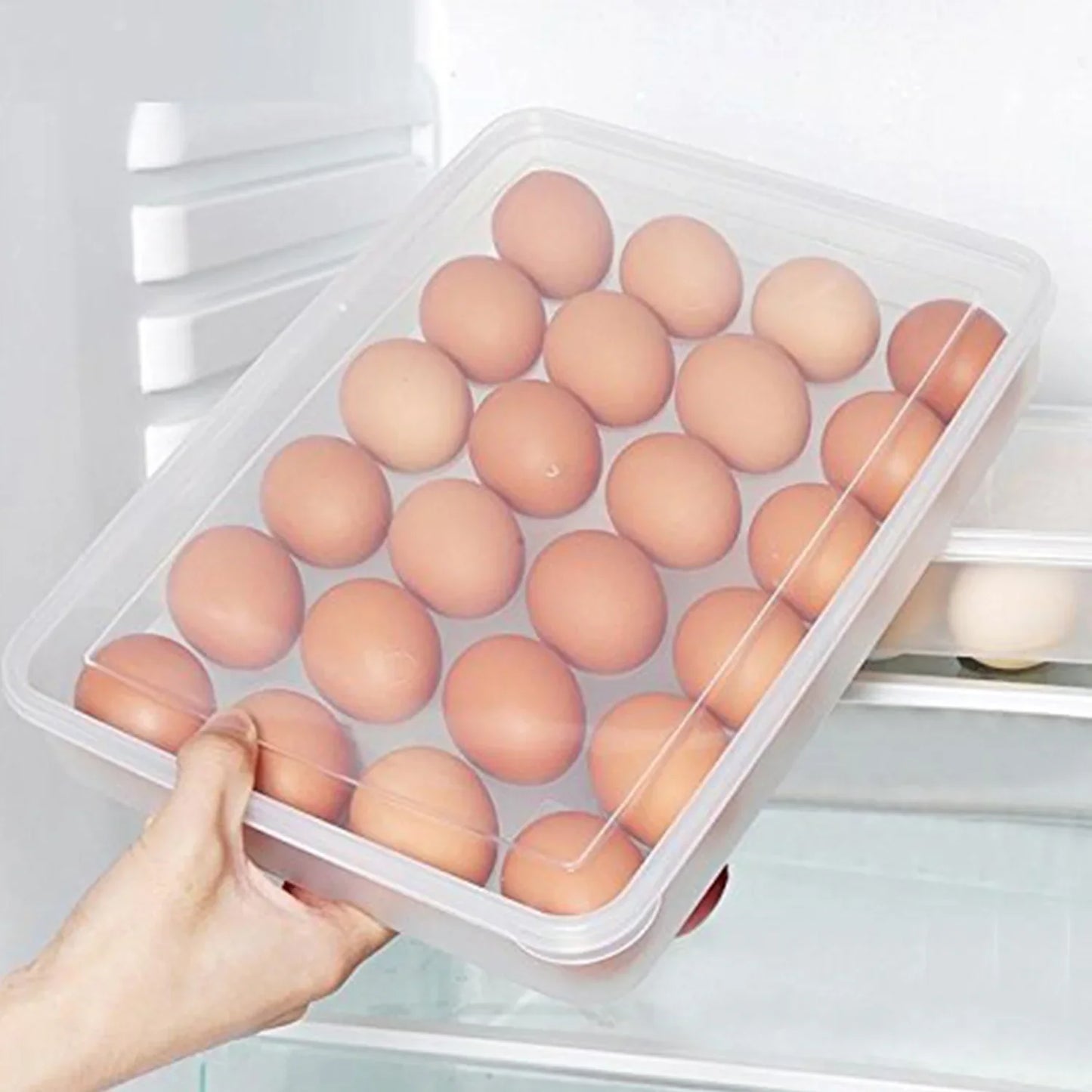 Best egg storage container – 24 eggs - food containers | 2025 | fast shipping