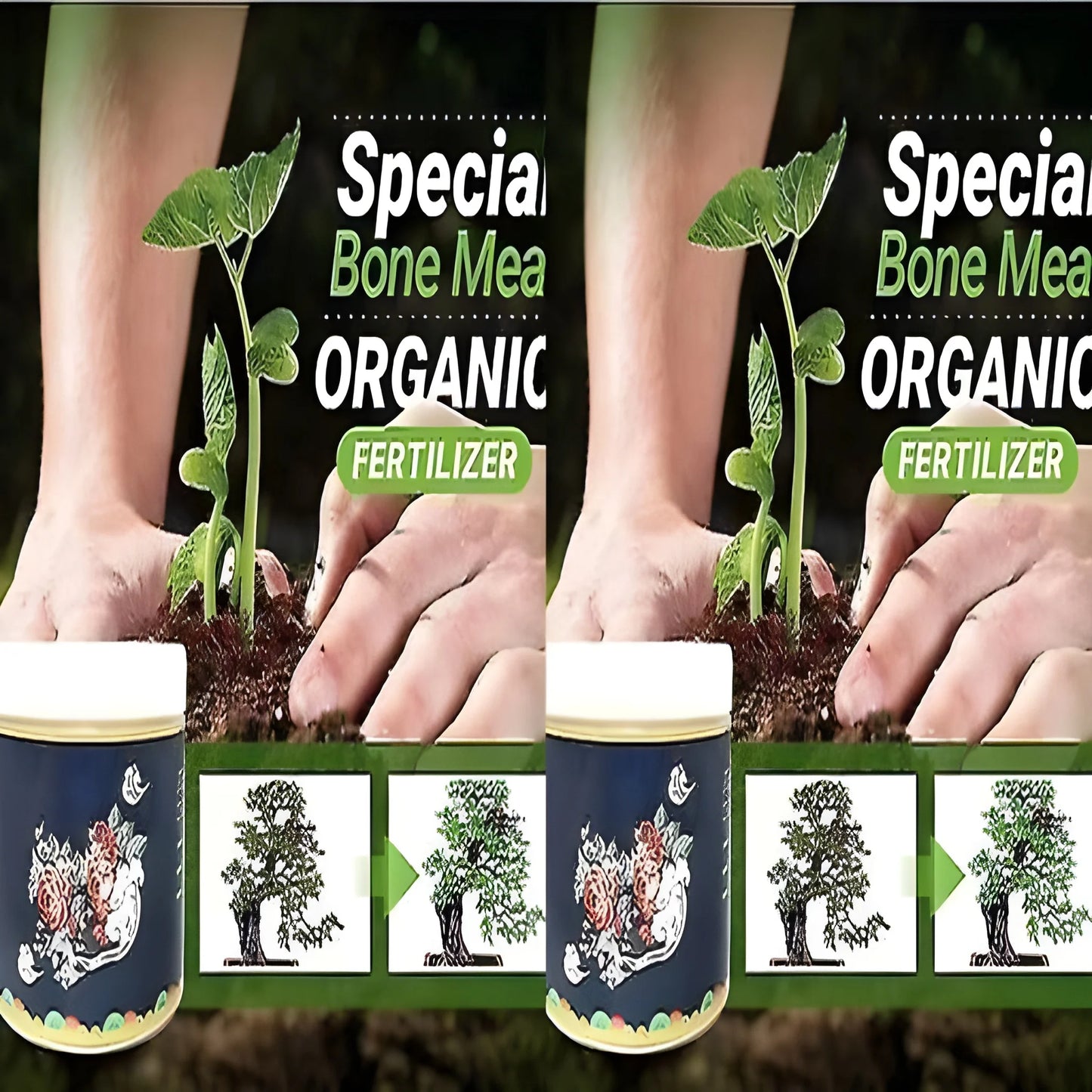 Bloom & Fruit Booster