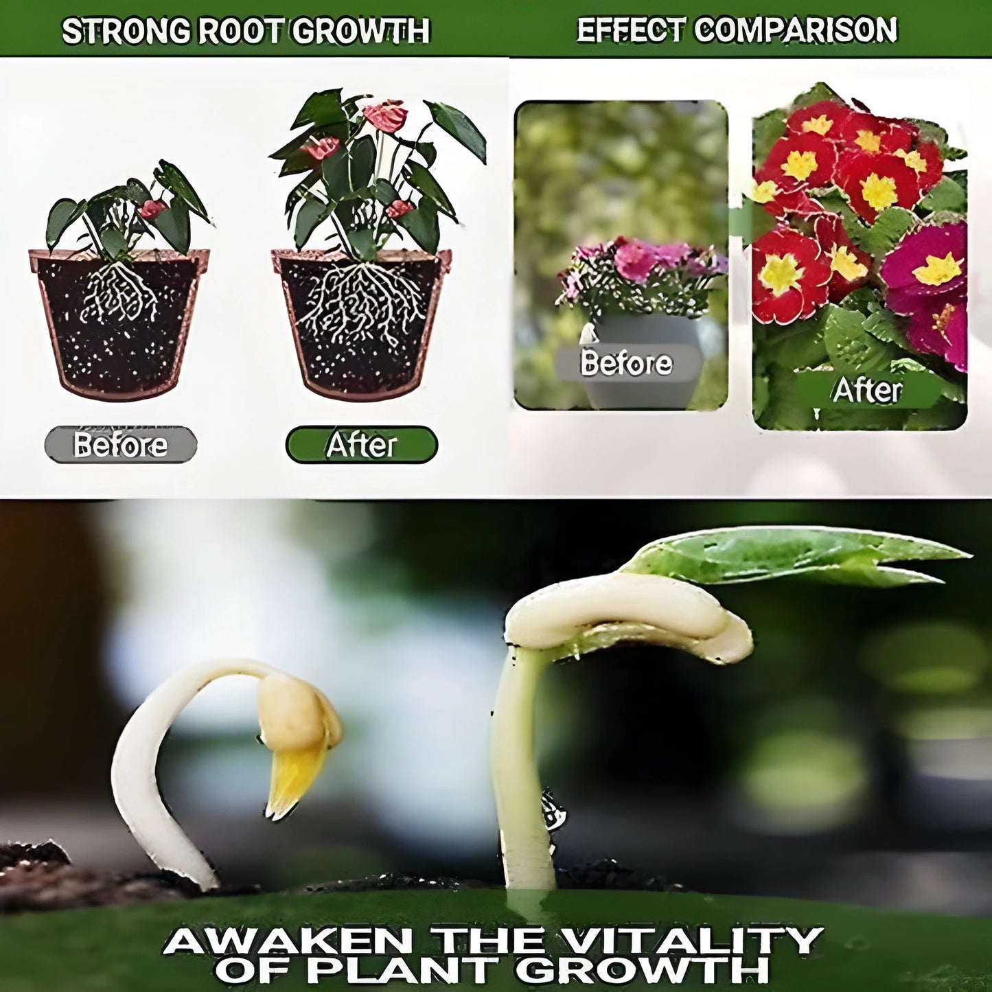 Bloom & Fruit Booster