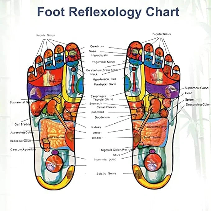 Herbal Foot Patches