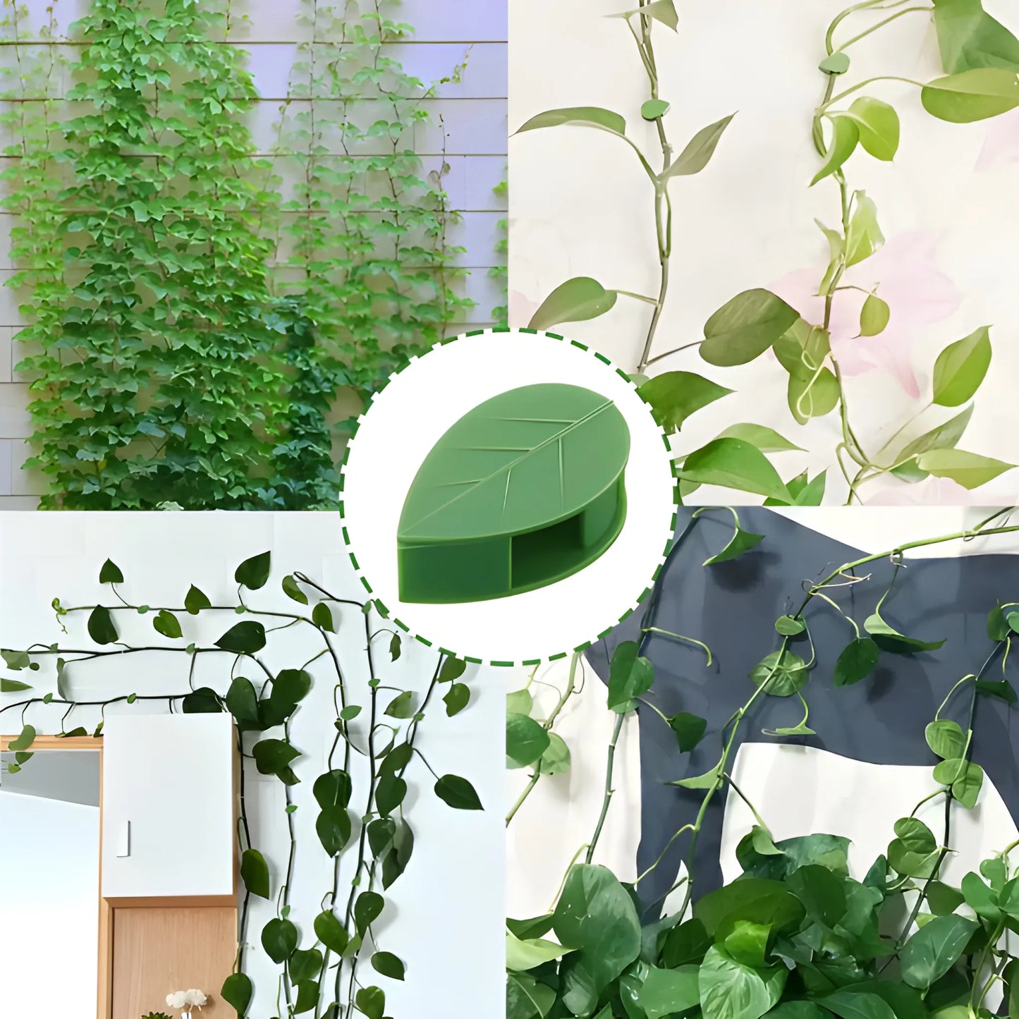 Invisible Plant Support Clips - Garden & Outdoors
