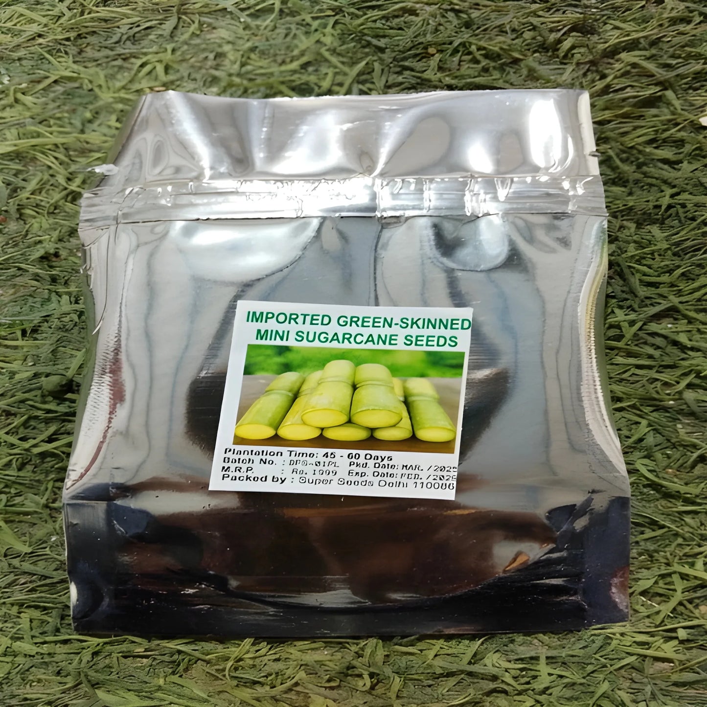 Mini Sugarcane Seeds