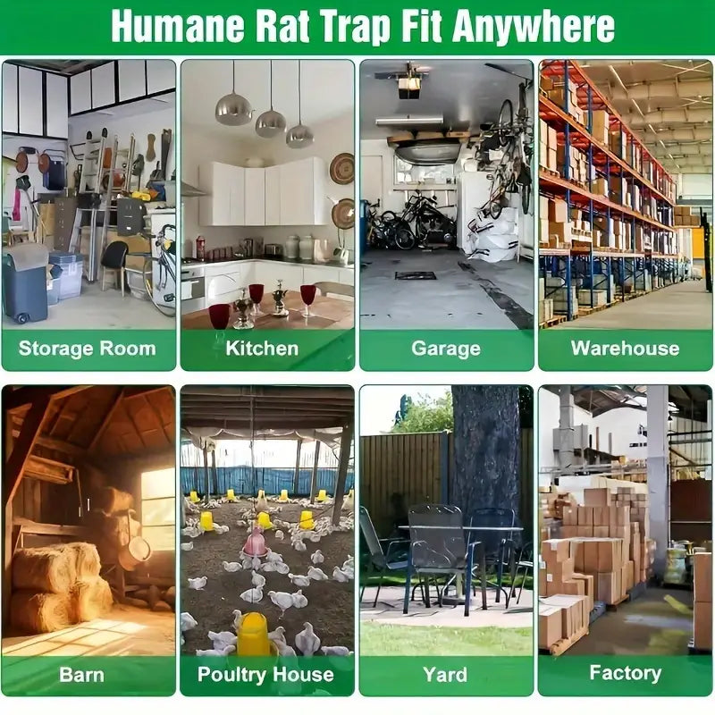 Mouse Trap Iron Cage Pinjra Home Improvement