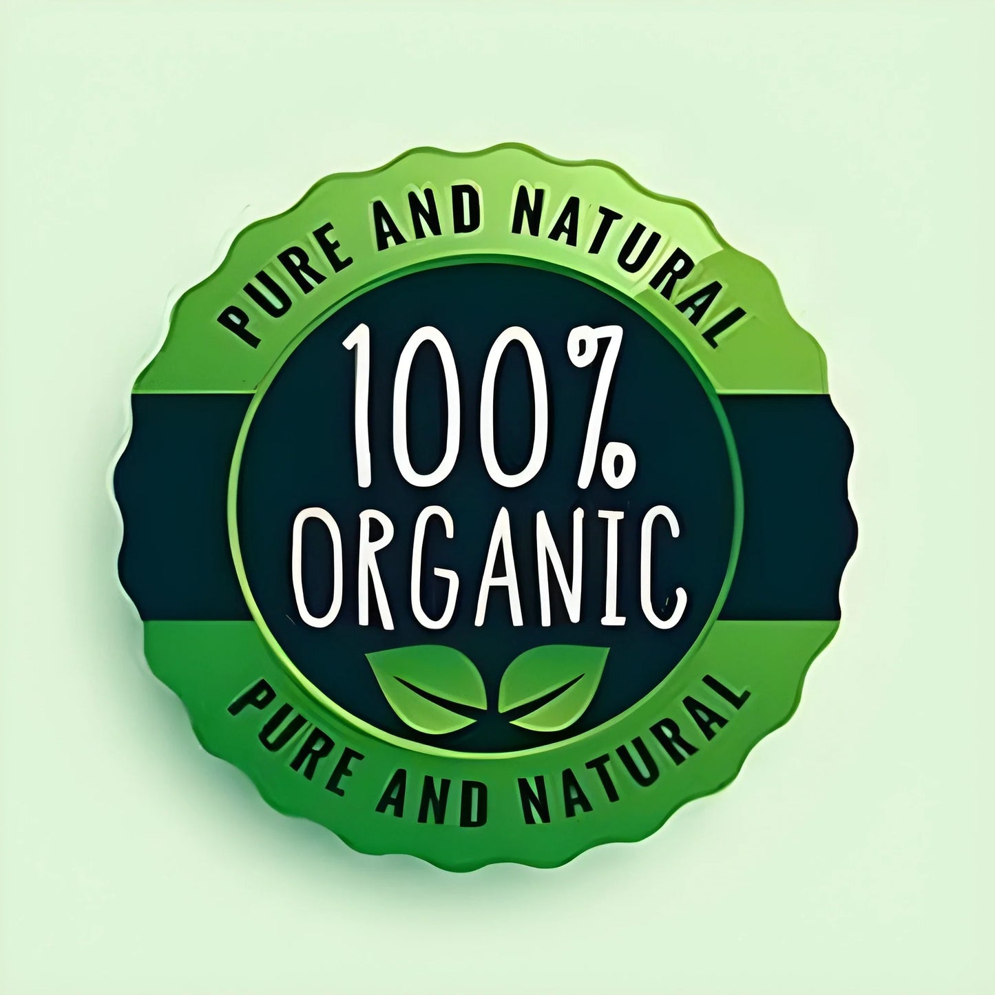 Organic Lettuce Seeds – Pack of 20