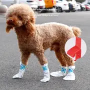 Pet Walking Disposal Shoe 20 pcs White pet
