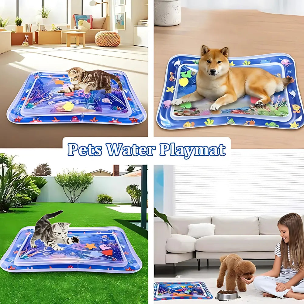 Pet Water Sensory Play Mat