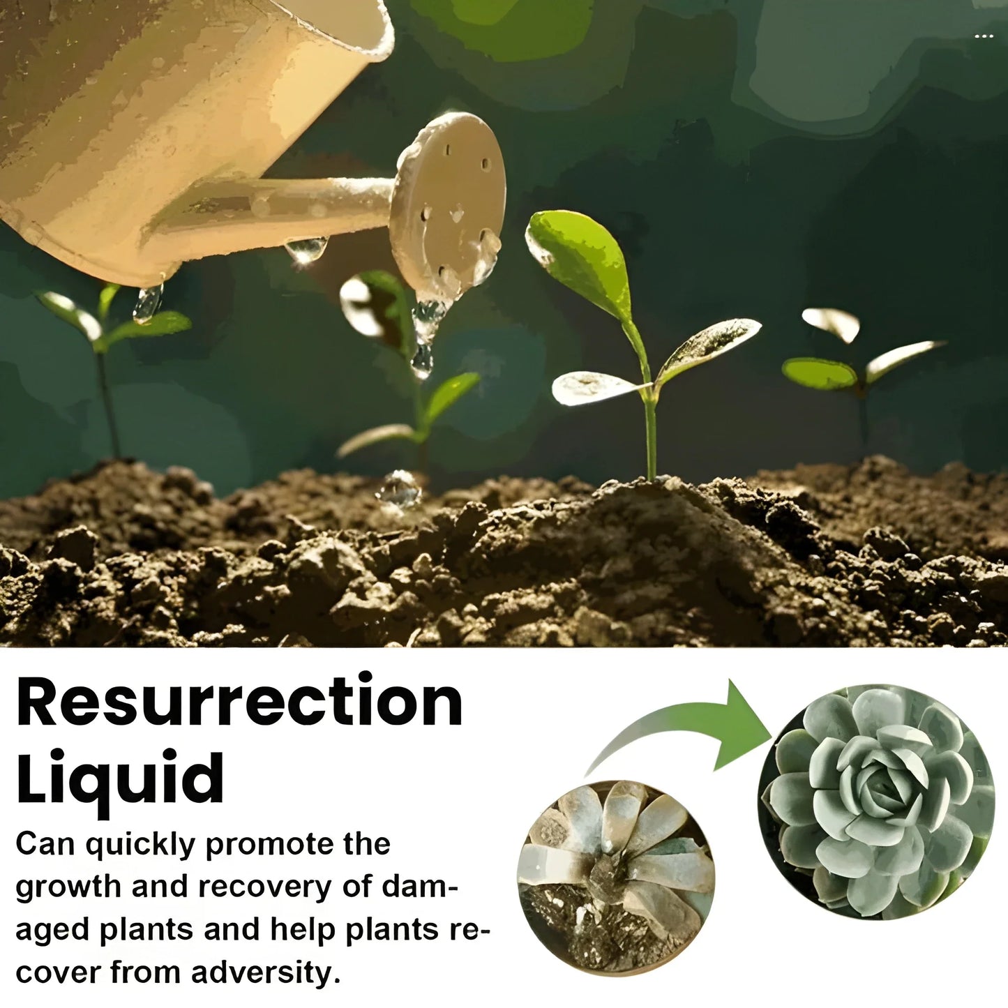 Plant Revival Growth Elixir