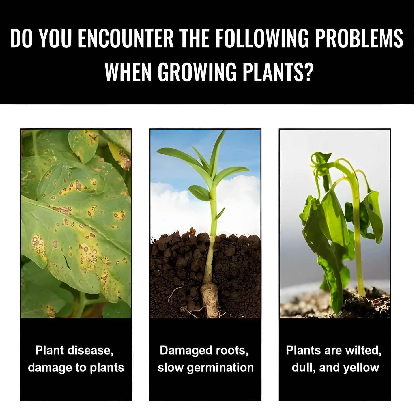 Plant Revival Growth Elixir