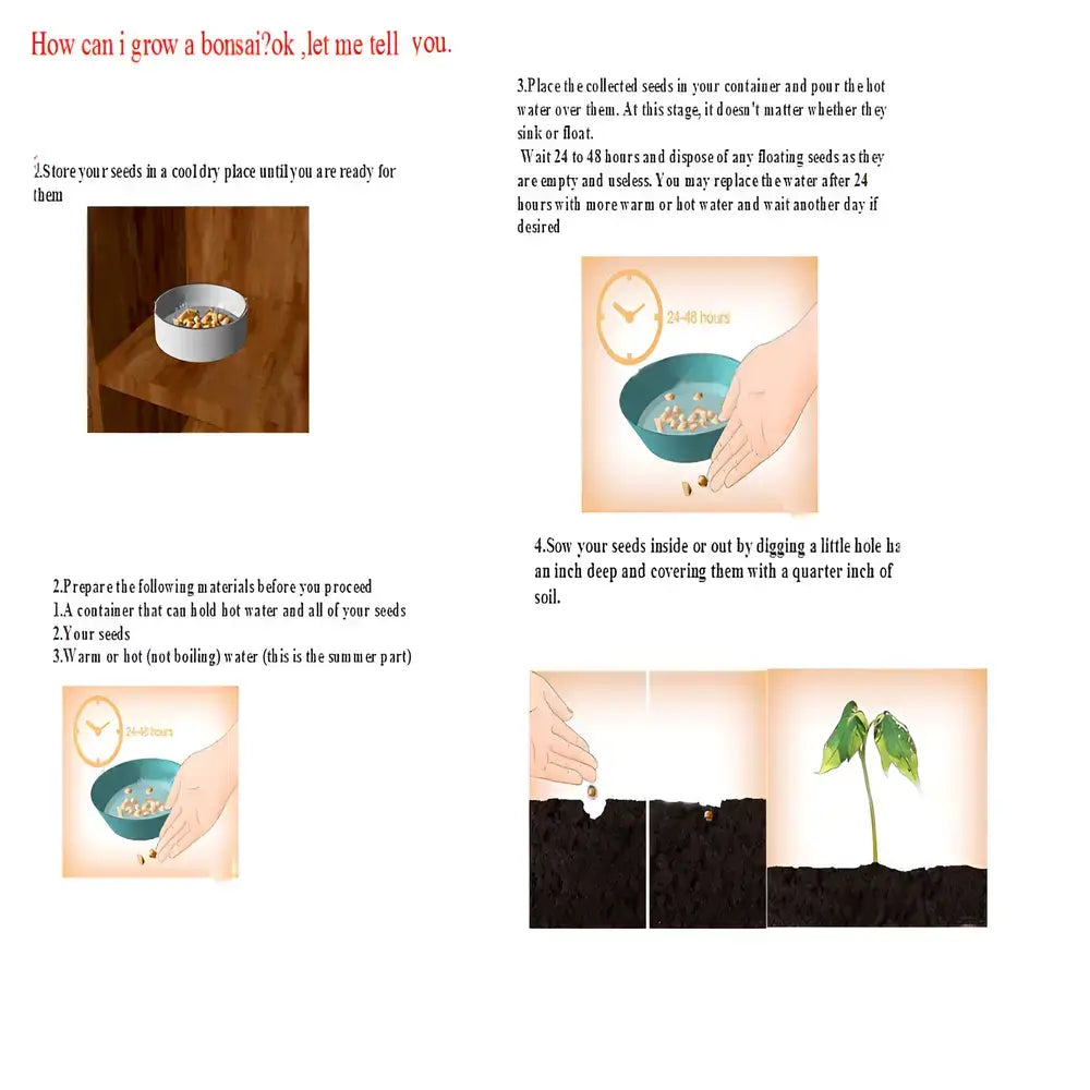 Premium Ginseng Fruit Seeds