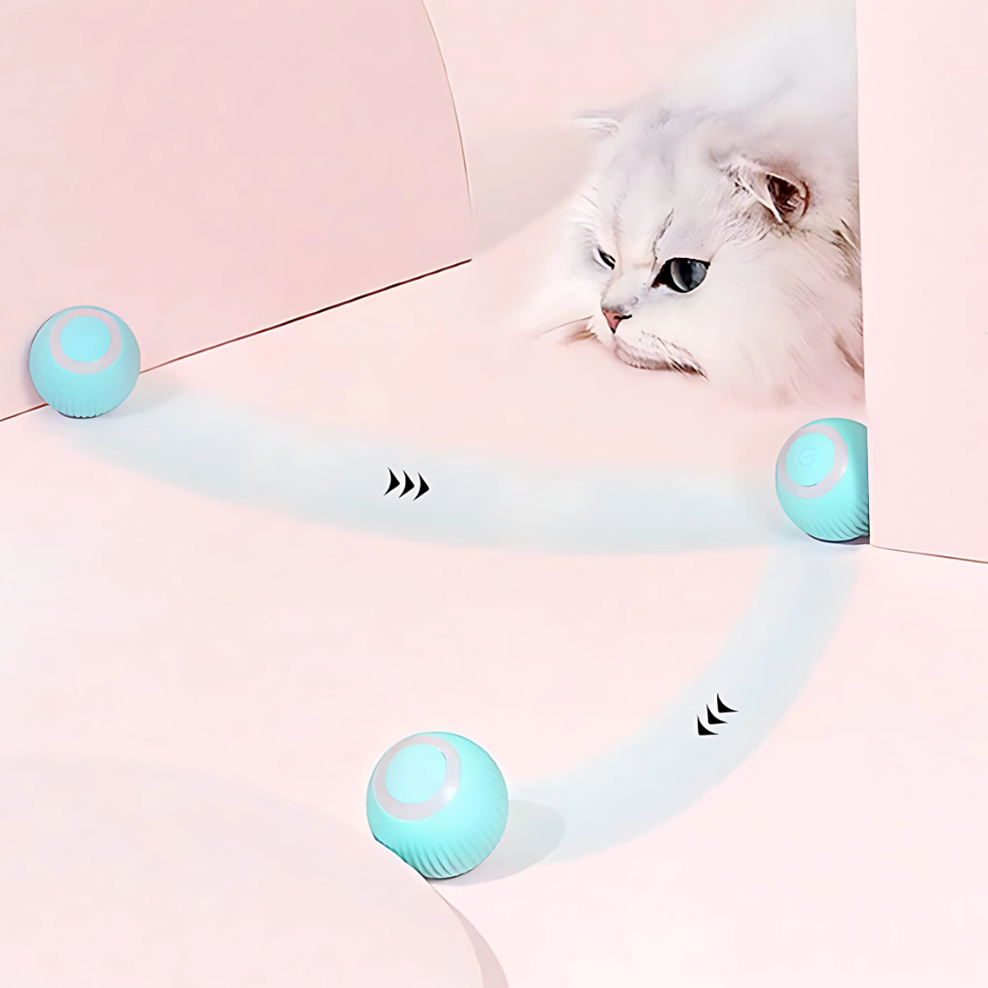 Purrfect Spin Rechargeable Cat Toy