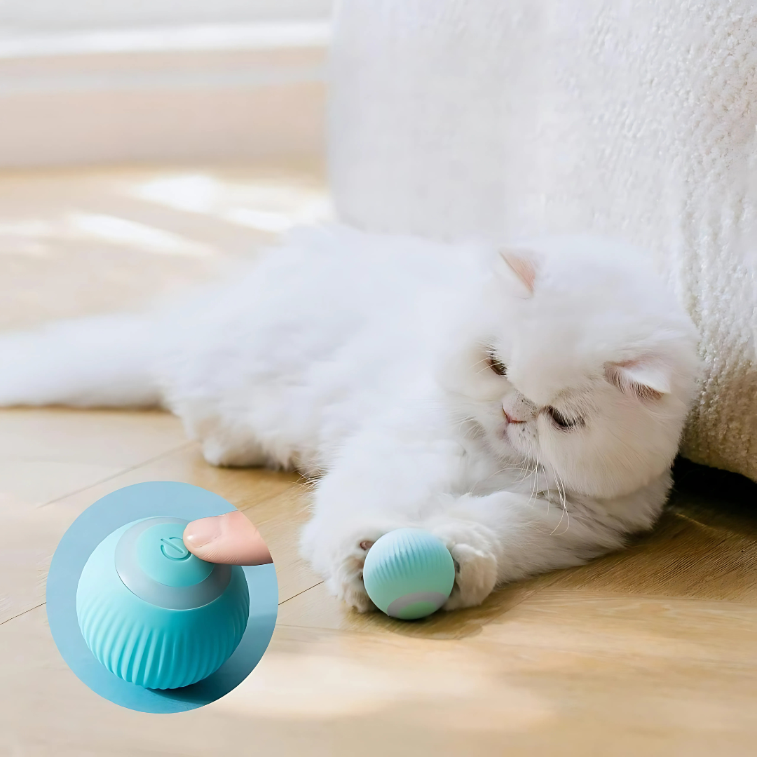Purrfect Spin Rechargeable Cat Toy