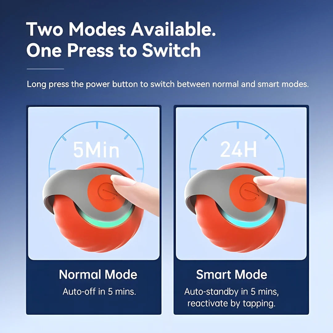 Rolling Ball Cat Toy