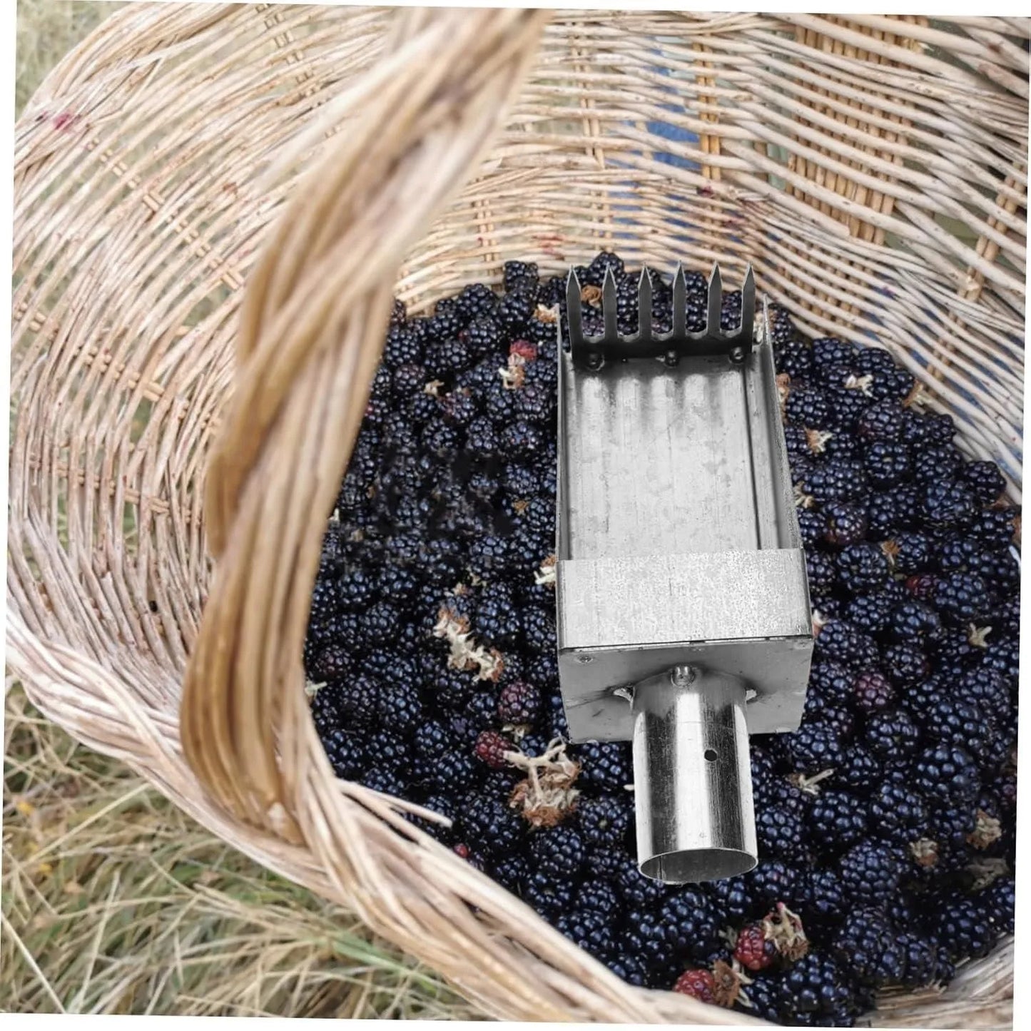 Stainless Fruit Picker garden & outdoor
