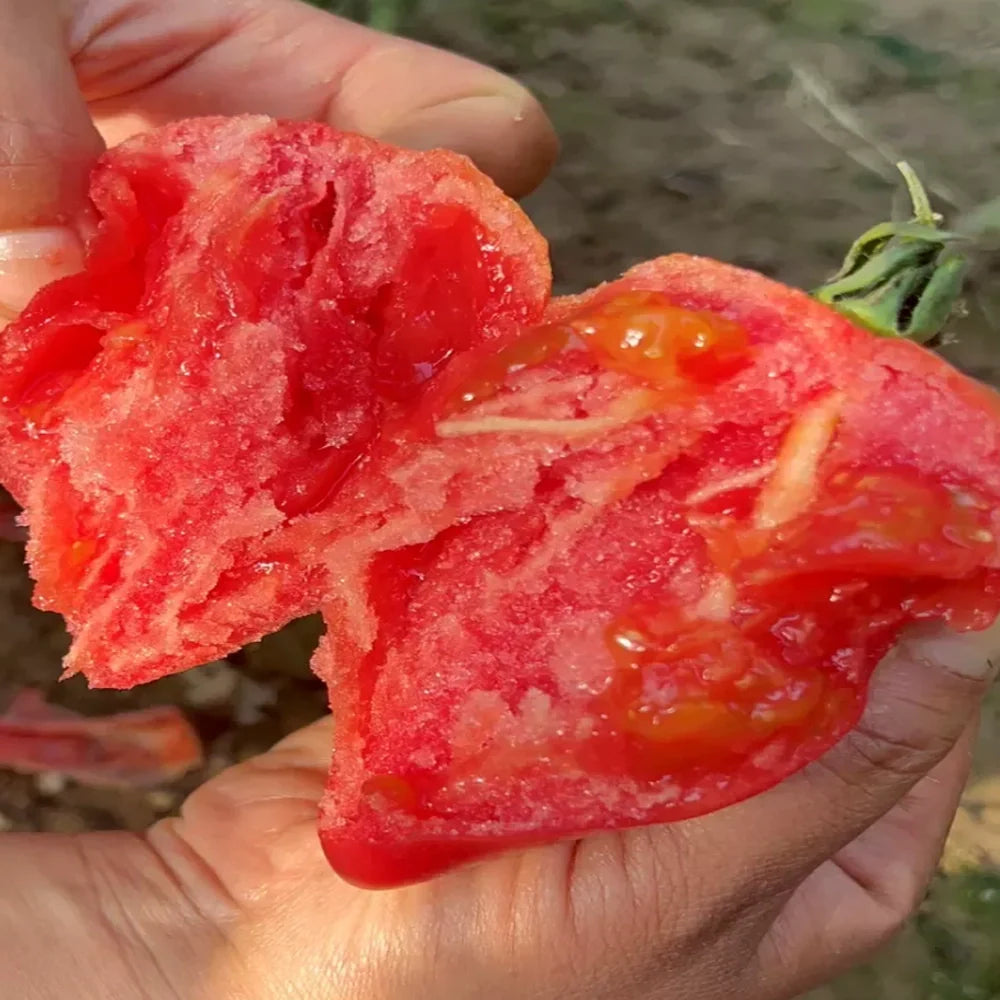 Sweet Mango Honey Tomatoes