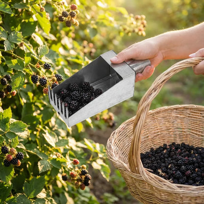 Stainless Fruit Picker
