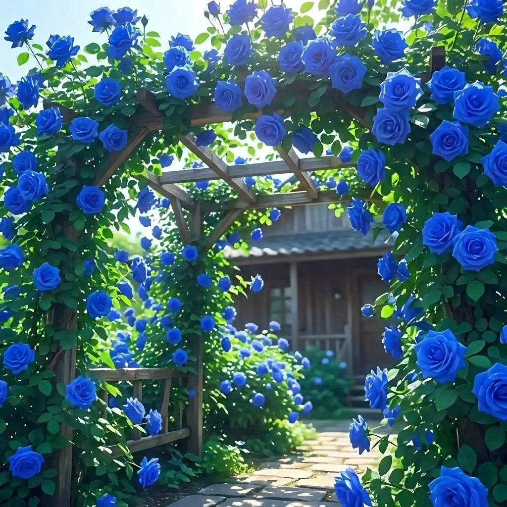 Blue Climbing Rose Seeds