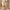 Women's Dress Shaping Seamless Body Shapewear Beige