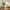 Pro Clean Expandable Floor Broom
