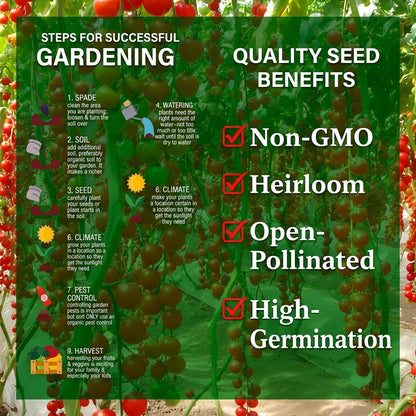 Cascading Tomato Vine Seeds