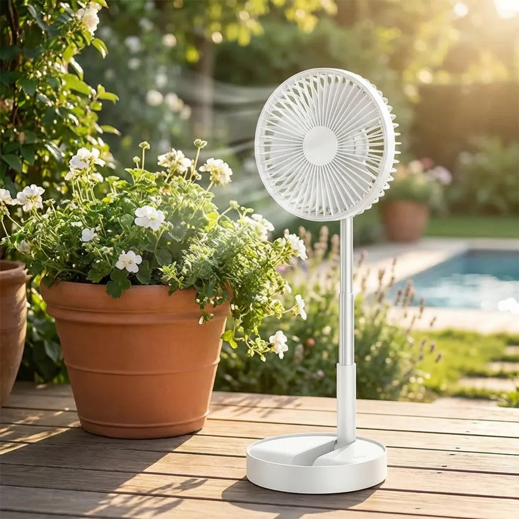 Rechargeable Telescopic Standing Fan