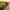 Grass Cutter Sickle