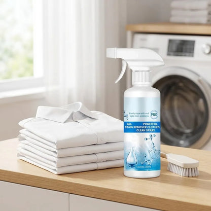 Clean Spray Stain Remover (Pack of 2)