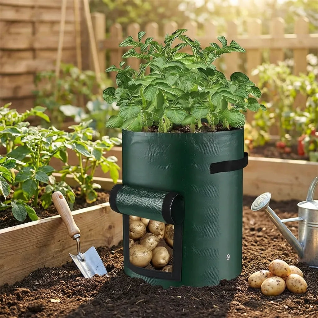 Potato Grow Bag with Harvest Window for Root Vegetables
