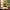 Artificial Flower Plant – 1 Pc