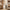 Multifunctional Wooden Hanger with Metal Hooks (Pack of 1)