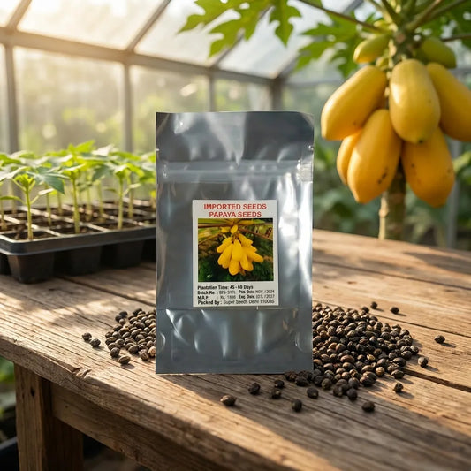 Premium Papaya Seeds