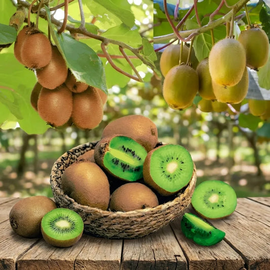 Home-Grown Kiwi Seeds