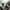 Automotive Interior Renovator