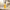 Gold Anti-Aging Serum
