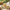 Multani Mitti Handmade Soap (Pack Of 4)