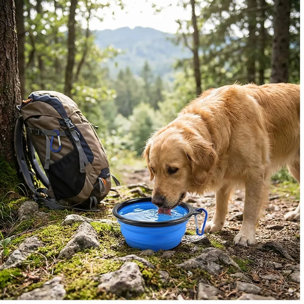 Portable Collapsible Pet Bowl
