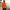 Men's Orange Polo Shirt