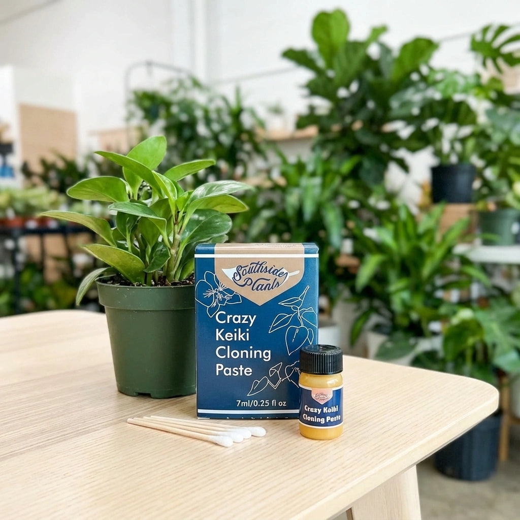 Crazy Keiki Plant Cloning Paste