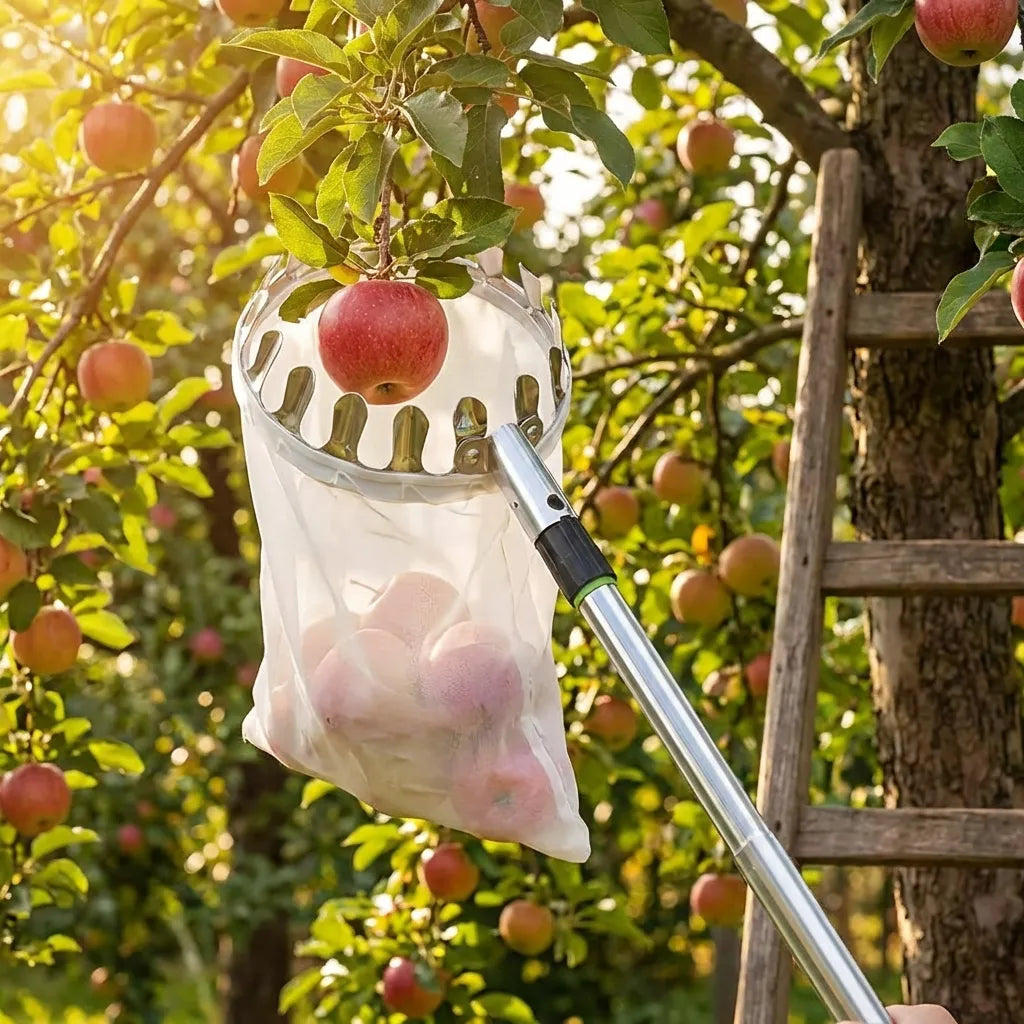 Effortless Fruit Picker Tool