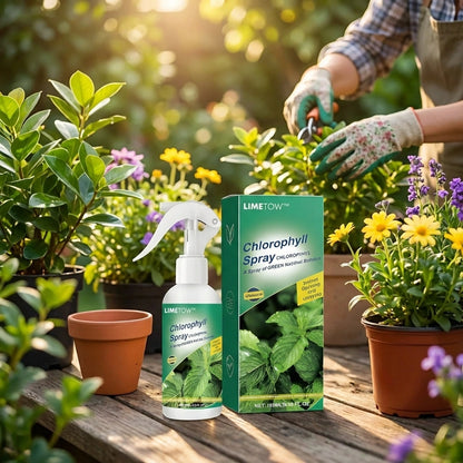 Instant Green Leaf Spray