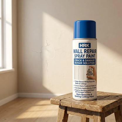 Wall Repair Spray Paint